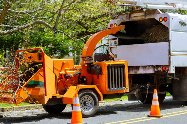 Best Hazardous Tree Removal  in Gadsden, AL